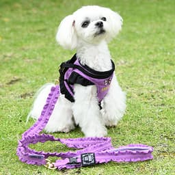 ANNA SUI バタフライ刺繍フリルハーネス - サムネイル4