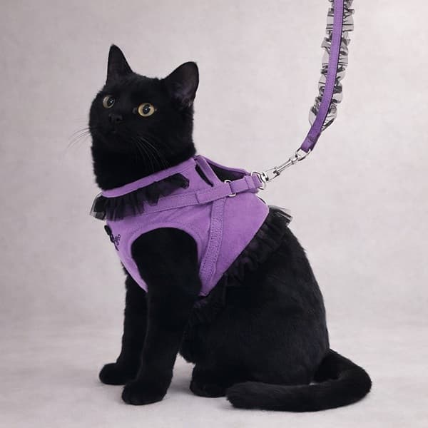 ANNA SUI 猫用フリル付きハーネス