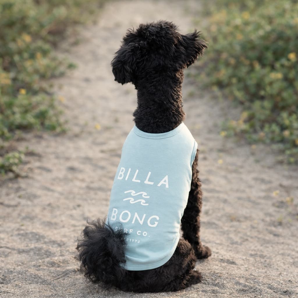 BILLABONG（ビラボン）ONE TIME DOG TANK｜全3色