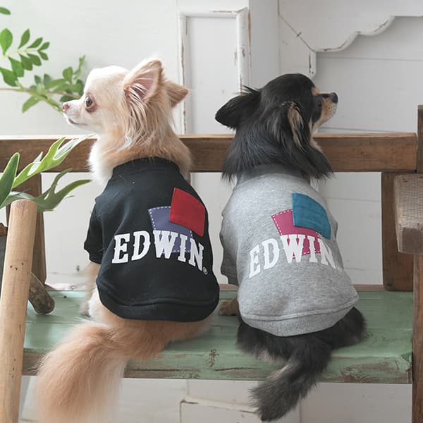 2025秋冬 EDWIN（ エドウィン）パッチワークスウェット