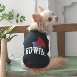 2025秋冬 EDWIN（ エドウィン）パッチワークスウェット - サムネイル3