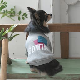 2025秋冬 EDWIN（ エドウィン）パッチワークスウェット - サムネイル4