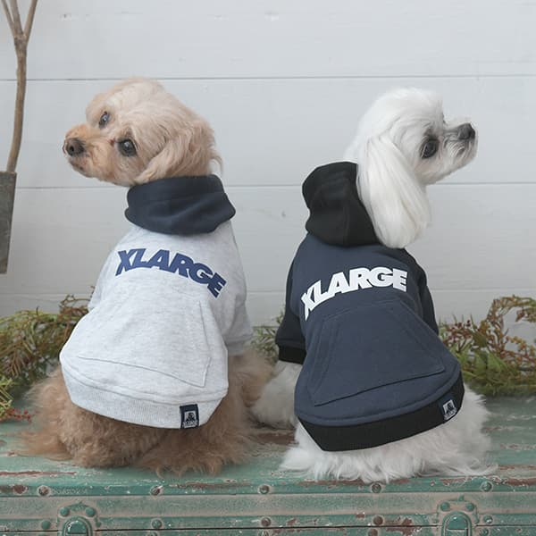 2025秋冬 XLARGE（エクストララージ）ツートーンフーディー