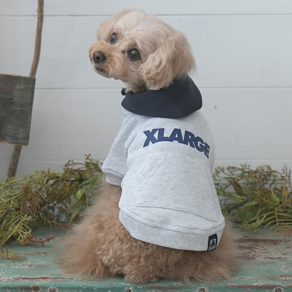 2025秋冬 XLARGE（エクストララージ）ツートーンフーディー - 3